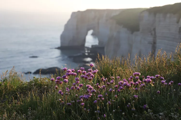 Von der Normandie bis zum Baskenland